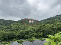 경매마당 공매정보 2023-06567-004의 시세, 권리분석, 상세정보