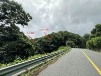 경매마당 공매정보 2023-06567-004의 시세, 권리분석, 상세정보