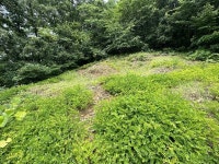 경매마당 공매정보 2023-06567-004의 시세, 권리분석, 상세정보