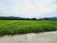 경매마당 공매정보 2023-06635-002의 시세, 권리분석, 상세정보