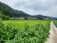 경매마당 공매정보 2023-06635-003의 시세, 권리분석, 상세정보