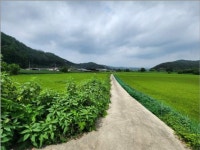 경매마당 공매정보 2023-06635-003의 시세, 권리분석, 상세정보