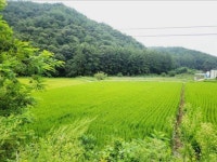 경매마당 공매정보 2023-06635-003의 시세, 권리분석, 상세정보