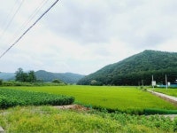 경매마당 공매정보 2023-06635-003의 시세, 권리분석, 상세정보