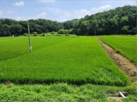 경매마당 공매정보 2023-06763-001의 시세, 권리분석, 상세정보