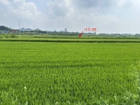 경매마당 공매정보 '2023-09347-001'의 시세, 권리분석, 상세정보
