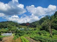 경매마당 공매정보 '2023-12094-002'의 시세, 권리분석, 상세정보
