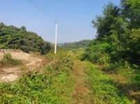 경매마당 경매정보 2022타경3368의 시세, 권리분석, 상세정보