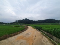 경매마당 경매정보 2022타경33032의 시세, 권리분석, 상세정보