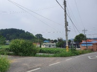 경매마당 경매정보 2021타경4203의 시세, 권리분석, 상세정보