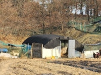 경매마당 경매정보 2023타경1548의 시세, 권리분석, 상세정보