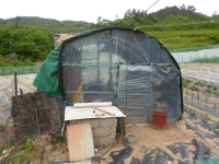 경매마당 경매정보 2022타경11813의 시세, 권리분석, 상세정보
