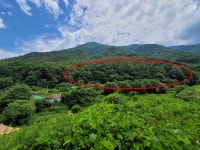 경매마당 경매정보 2022타경2052의 시세, 권리분석, 상세정보