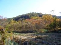 경매마당 경매정보 2022타경4488의 시세, 권리분석, 상세정보