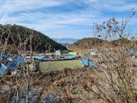 경매마당 경매정보 2022타경5290의 시세, 권리분석, 상세정보