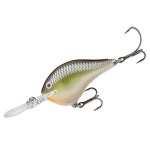 Rapala® DT® Series DT06 Crankbait | Academy