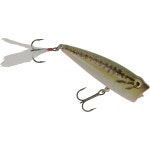 H2O XPRESS™ Magnum TWP | Academy