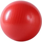 Sunny Health & Fitness 55 cm Antiburst Gym Ball | Academy
