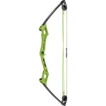 Bear Archery Youth Apprentice Bow Set | Academy