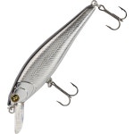H2OX Premium Floating Jerk Shad Bait | Academy