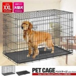 をやるため 任天堂 Switch本体 初期化・動作確認済の通販 by 愛の無い愛知よりお届け｜ニンテンドウならラクマ - 新型Nintendo ホビー