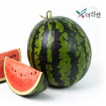 수박 2,798원이다 2명 빨리 붙어라 - 알리익스프레스 마이너 갤러리