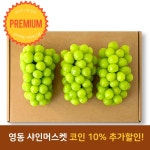 샤인머스켓 이게 낫다 - 미니PC 마이너 갤러리