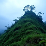 Naz2299 #1 이미지, 사진, 상업적 이미지사이트 - 123RF