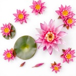 Max354 #1 이미지, 사진, 상업적 이미지사이트 - 123RF