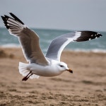 Papz278 #1 Royalty Free Photos, Pictures, Images and Stock Photography