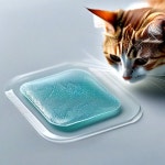 Eman257 #1 이미지, 사진, 상업적 이미지사이트 - 123RF