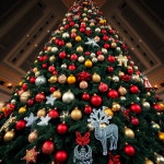 Sophiecat123 #1 이미지, 사진, 상업적 이미지사이트 - 123RF