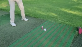 4발로서는 4계절용 설네발티 - 즐거움의 시작, FUNSHOP 4발로서는 4계절용 설네발티 [펀샵]