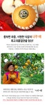 농협몰(NH싱씽몰) [이룸팜스] 나주배 선물세트 프리미엄 7.5kg (6-8과) 과일선물세트