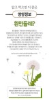 WELL-B 국산 토종 흰 하얀 민들레 진액 즙 180포- 이랜드몰