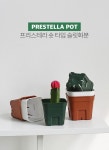 화병·화분 > 프레스테라 사각 슬릿 화분 숏타입 | 오늘의집 쇼핑 프레스테라 사각 슬릿 화분 숏타입