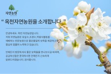 상품상세