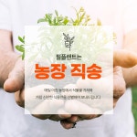 식물 > 금전수 돈나무 세라믹화분 개업화분 승진 집들이 축하선물 | 오늘의집 쇼핑 금전수 돈나무 세라믹화분 개업화분 승진 집들이 축하선물