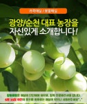 청매실 (왕왕) 3kg 광양/순천 담금주용 장아찌용 - NS홈쇼핑