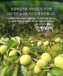 청매실 (왕왕) 3kg 광양/순천 담금주용 장아찌용 - NS홈쇼핑