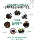 [에스에스62]헤어팩트 바르는 빈모커버 압축파우더 9g
