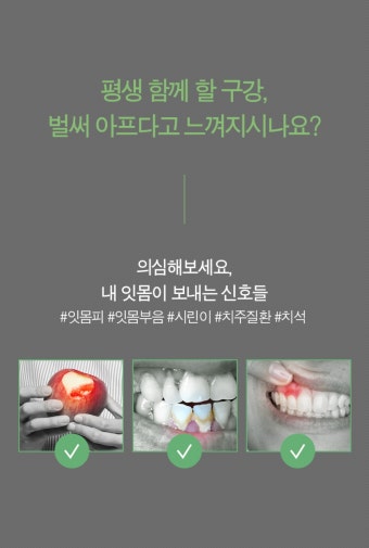 칫솔 > 탄모칫솔 10개 부드러운 미세모 치과 어금니 잇몸 임산부 작은헤드 치석제거 구취 | 오늘의집 쇼핑 탄모칫솔 10개 부드러운 미세모 치과...