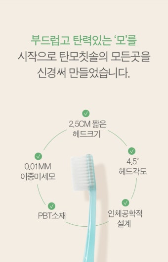 칫솔 > 탄모칫솔 10개 부드러운 미세모 치과 어금니 잇몸 임산부 작은헤드 치석제거 구취 | 오늘의집 쇼핑 탄모칫솔 10개 부드러운 미세모 치과...