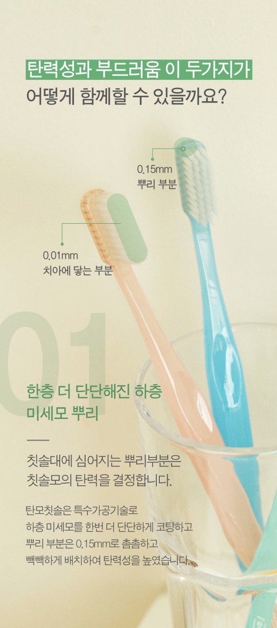 임산부를 위한 새로운 치과칫솔, 구강 건강에 도움을 주는 작은 헤드로 화제!