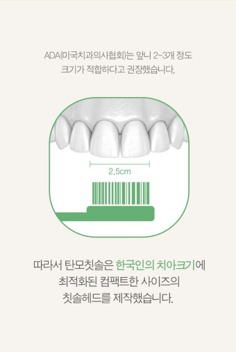 칫솔 > 탄모칫솔 10개 부드러운 미세모 치과 어금니 잇몸 임산부 작은헤드 치석제거 구취 | 오늘의집 쇼핑 탄모칫솔 10개 부드러운 미세모 치과...