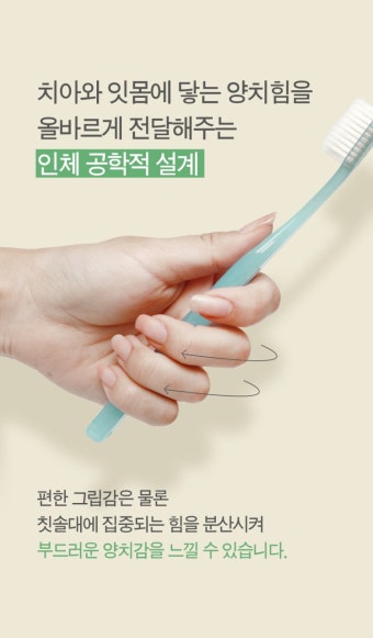 칫솔 > 탄모칫솔 10개 부드러운 미세모 치과 어금니 잇몸 임산부 작은헤드 치석제거 구취 | 오늘의집 쇼핑 탄모칫솔 10개 부드러운 미세모 치과...