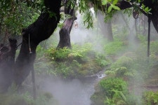 [이스타항공_치앙마이ONLY] 4성호텔/란나왕국+도이수텝+아바타카페+미쉐린레스토랑&소원등체험 5일 | 사리뷔앙핑 호텔 | 치앙마이... 