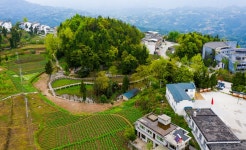 대수정 티켓 할인, 운영 시간, 후기 [2026년] | Trip.com