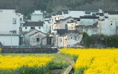 용천(룽촨) 관광지 티켓 할인, 운영 시간, 후기 [2026년] | Trip.com