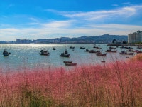 해원(하이위안) 공원 티켓 할인, 운영 시간, 후기 [2025년] | Trip.com